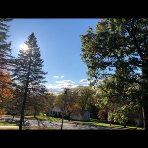 Meet your Posher, Susannah